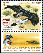Stamp:Lappet-faced Vulture, Egyptian Vulture (Taking The Vultures under our Wing), designer:Zvika Roitman & Tuvia Kurtz 03/2013